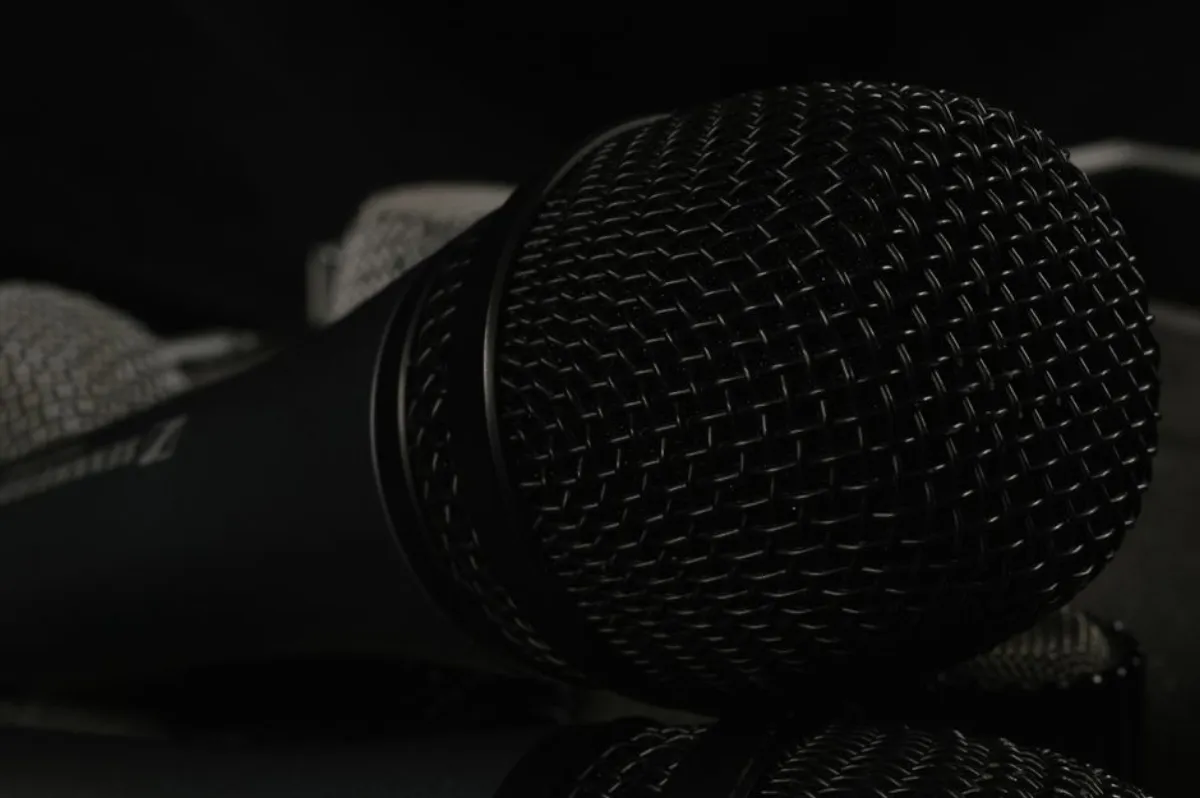 music microphone